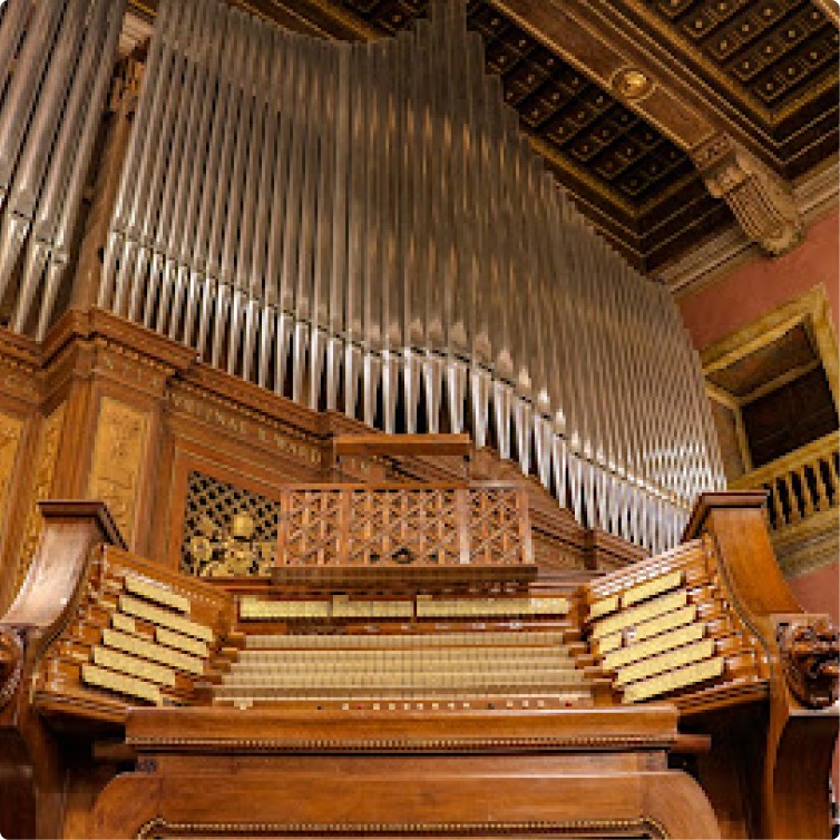 Leggi altro - Eccellenza